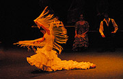 Bolero Flamenco vom 3.-13.08.2006 im Prinzregententheater (Foto: Ingrid Grossmann))